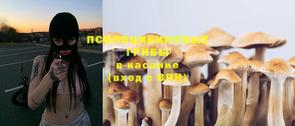 мдма Ельня