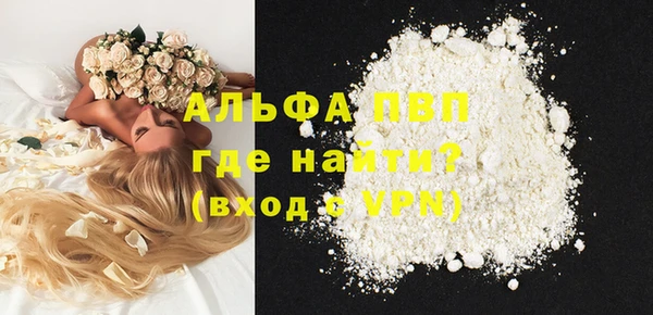 мдпв Елабуга
