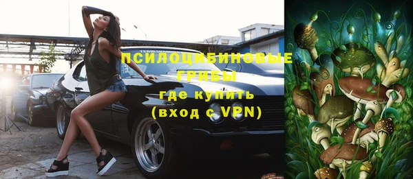 мдпв Елабуга