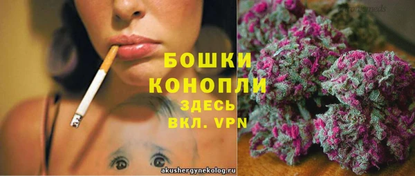 трава Дмитров