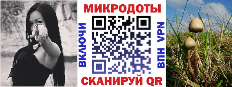 Псилоцибиновые грибы Psilocybe  Купить закладки  Лангепас 